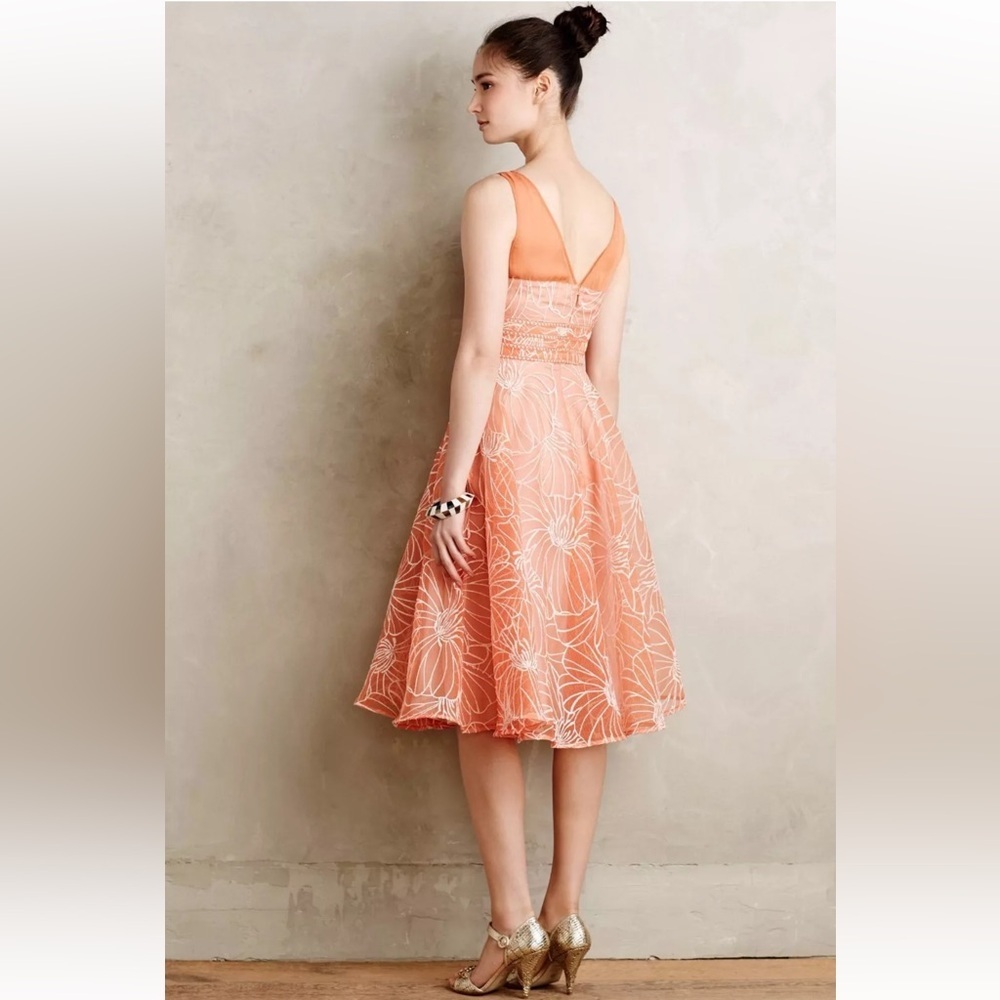 Anthropologie Calendula Dress by Moulinette Soeurs Organza Floral Sz 6 Spring!